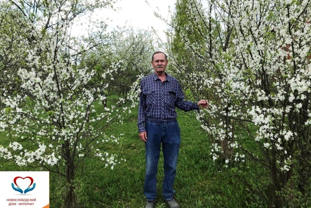 Сады в цвету